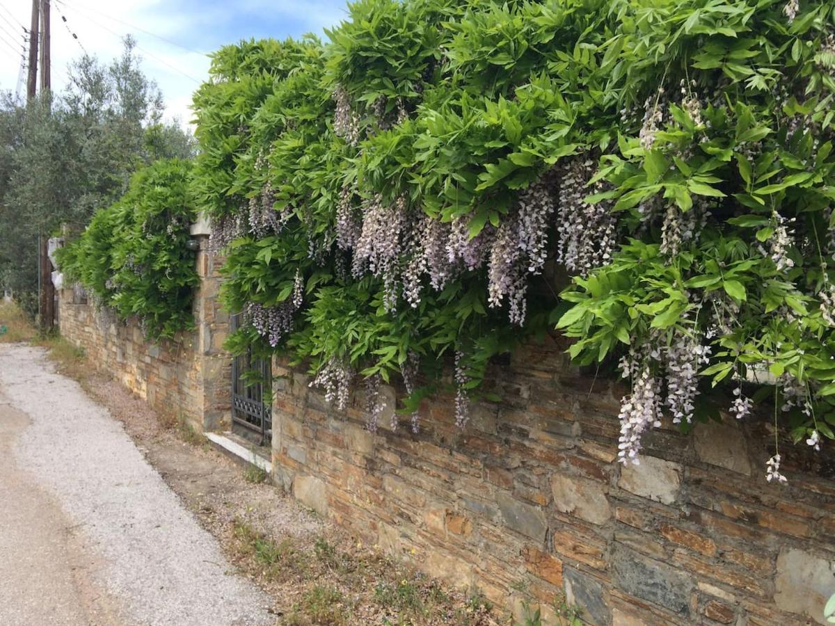 Villa Liana Sourpi Dış mekan fotoğraf